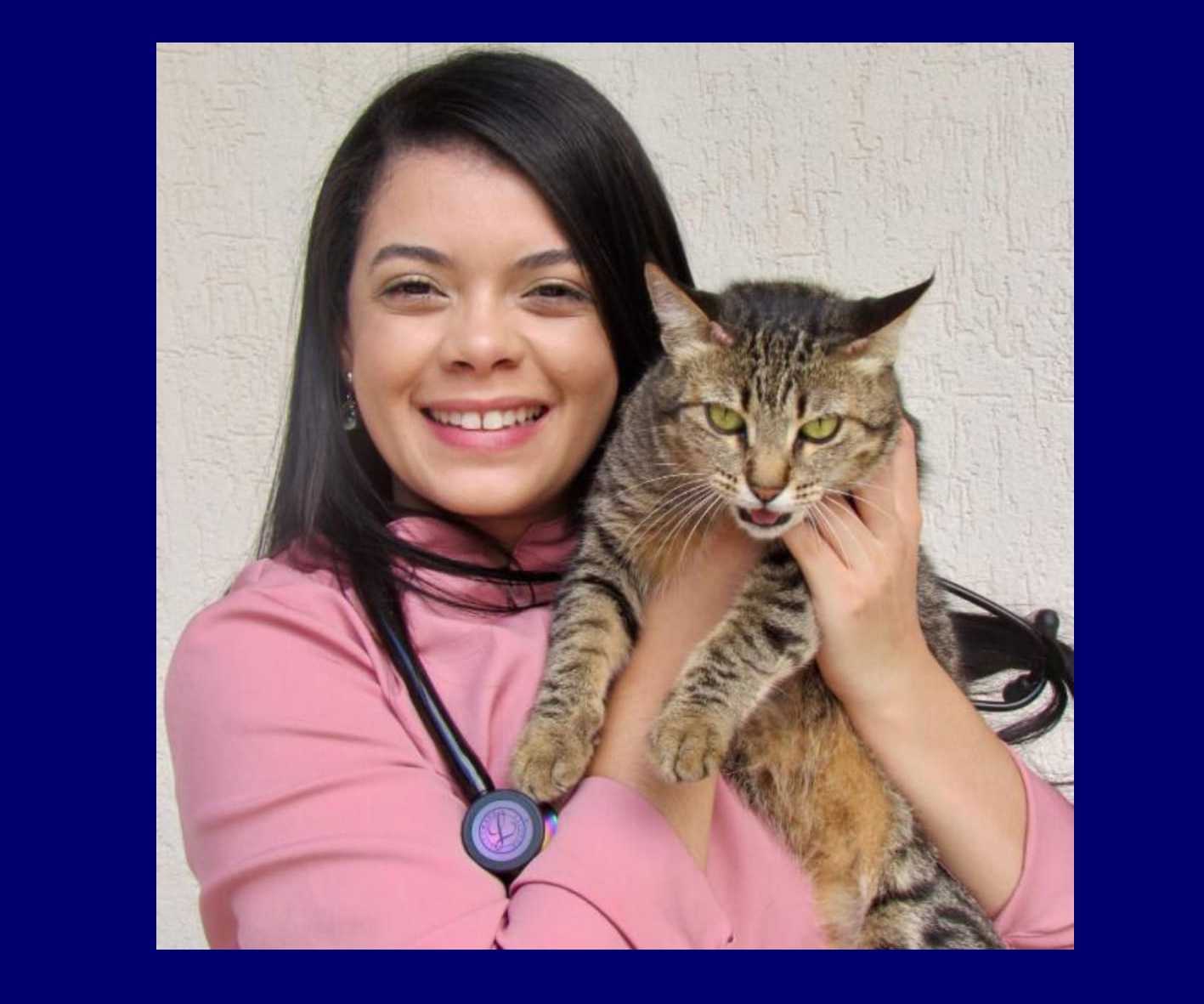 Assessoria de Viagem para Pets Landing Image